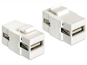 Delock Keystone Module - Keystone Module Usb 2.0 A Female > Usb 2.0 A Female