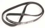 Panasonic Poly v belt J - 1234j5 El Axw412-25178 Belt
