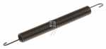 Smeg Spring - 895090300 Hinge Spring