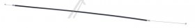 Arm - 48004846 Arm [Candy Hoover]